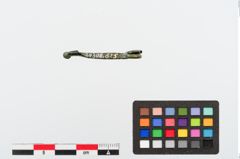 Foto von Bronzecertosafibel (NHMW-PRAE-024308)